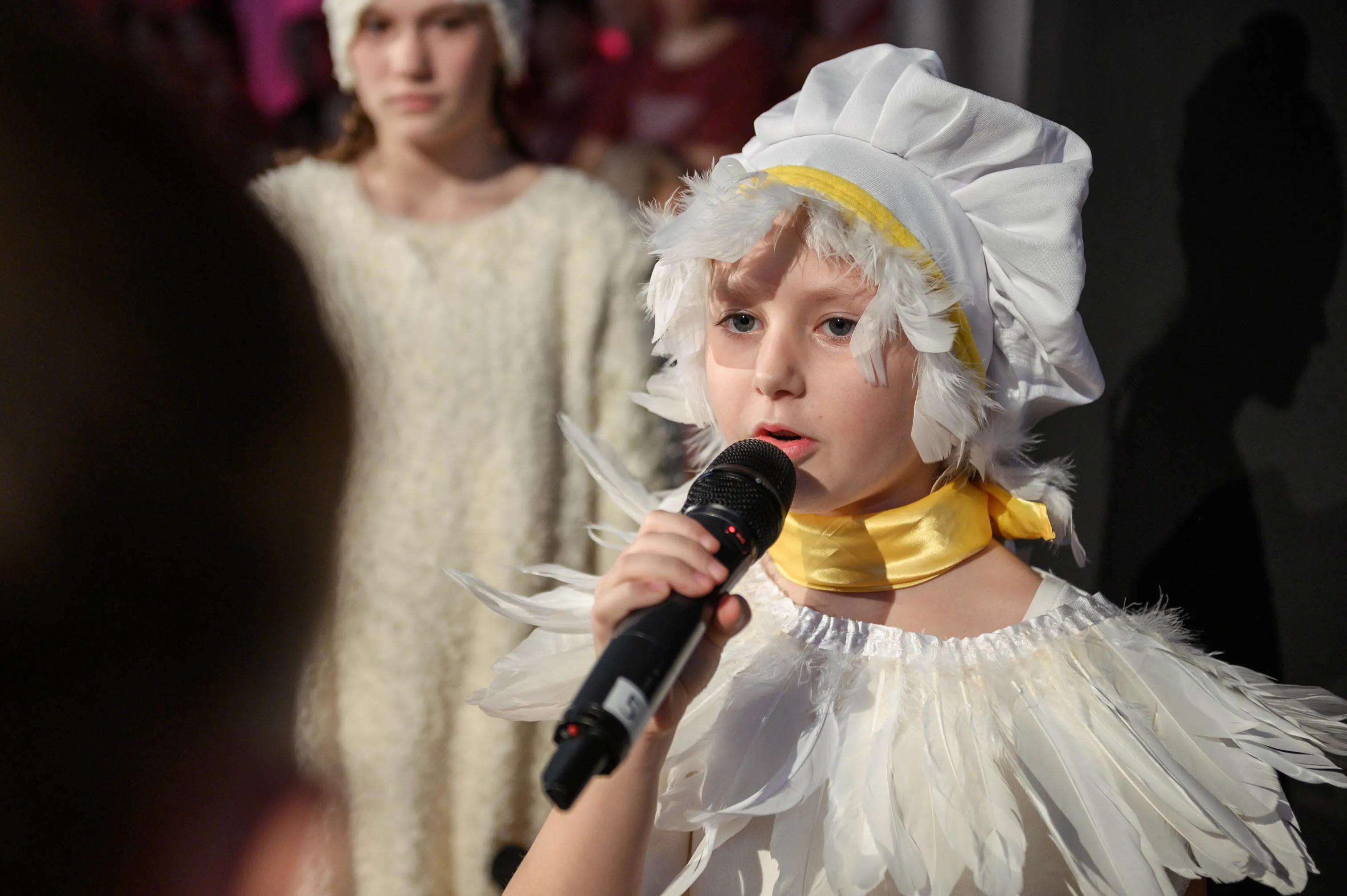 74846208_Adonia_2024_LQ